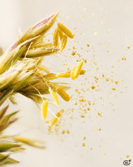Pollenallergie und Haut – Ursachen, Symptome und die richtige Pflege