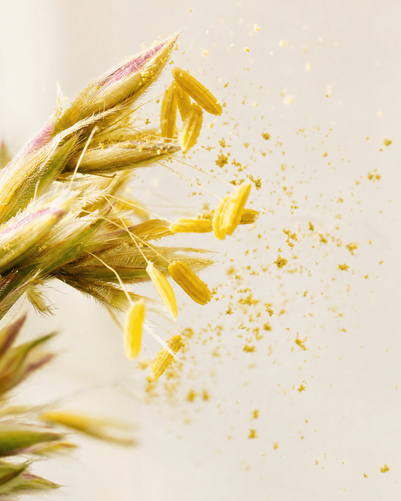 Pollenallergie und Haut – Ursachen, Symptome und die richtige Pflege 