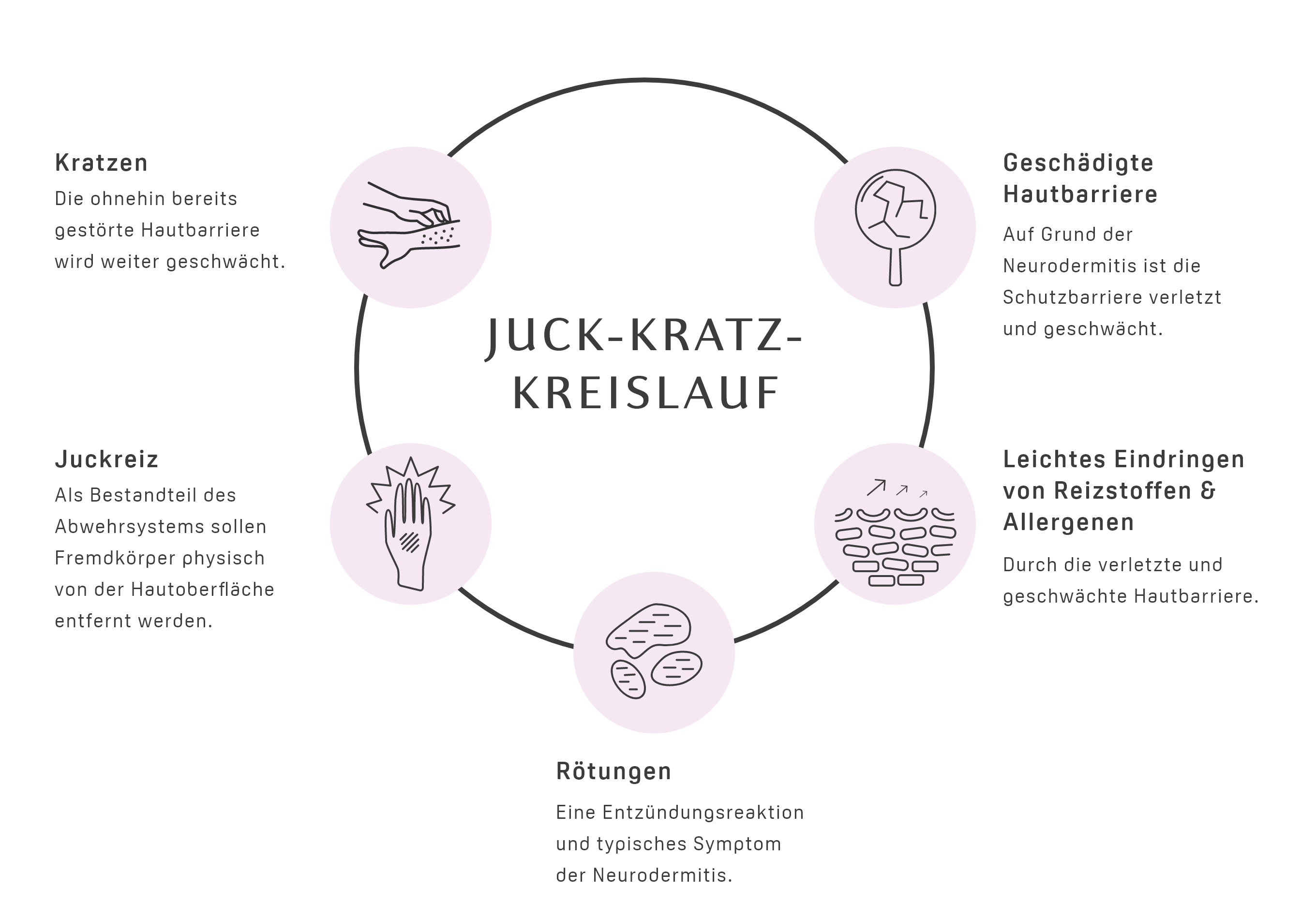 Infografik visualisiert den Juckreiz-Kratz-Teufelskreis und wie dieser sich auf die Neurodermitis Symptome auswirkt.