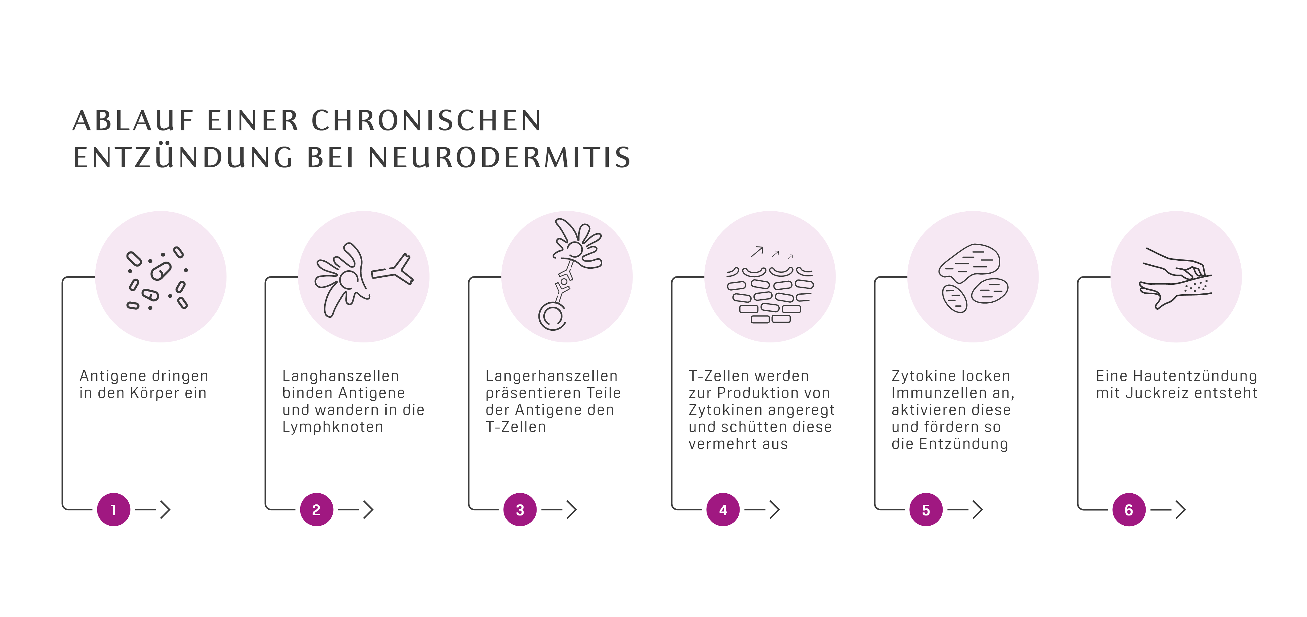 Infografik zeigt die einzelnen Phasen einer chronischen Entzündung bei Neurodermitis.